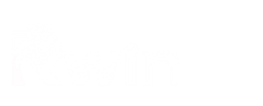 rwin.skin